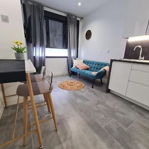 Deluxe Studio met een King Size Bed